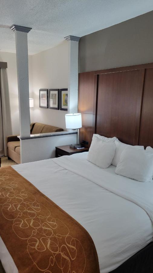 Comfort Suites Cumming-Atlanta Near Northside Hospital Forsyth Kültér fotó